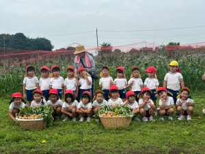 image2(18)