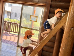 image3(12)